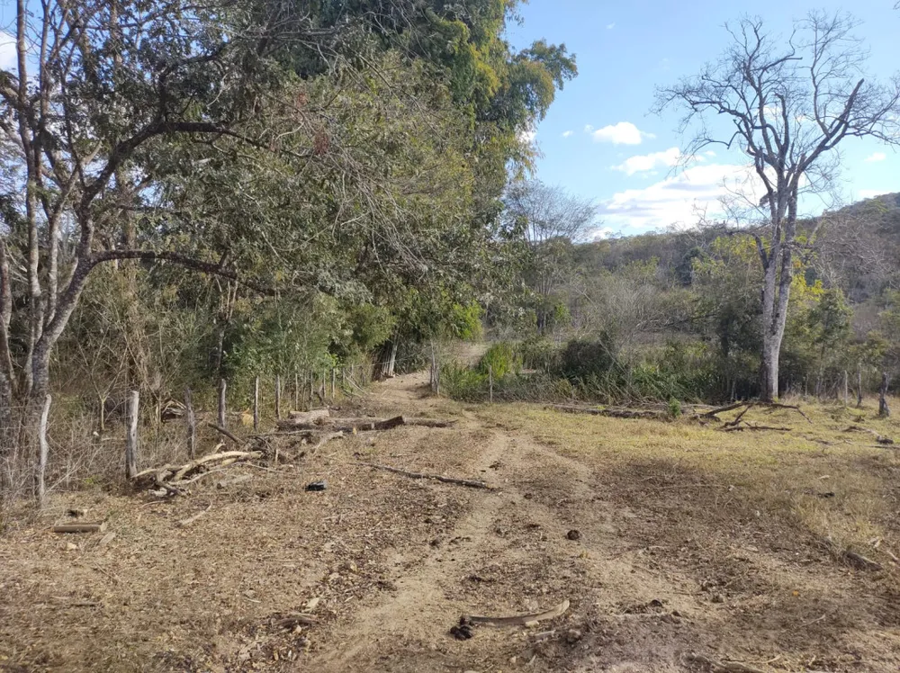 Fazenda, 96 hectares - Foto 15