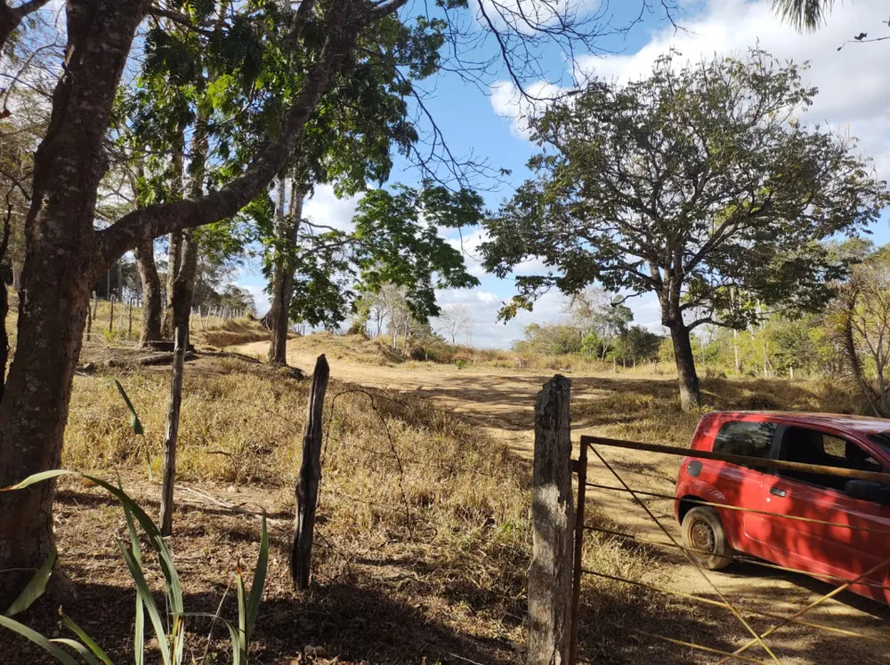 Fazenda, 96 hectares - Foto 6