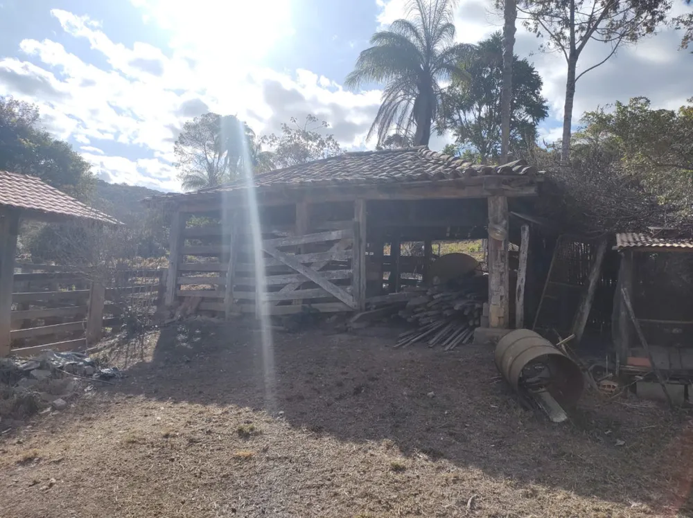 Fazenda, 96 hectares - Foto 10