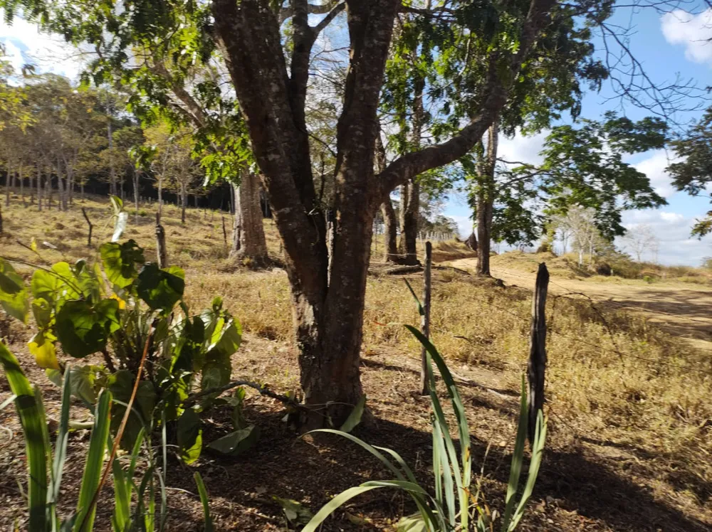 Fazenda, 96 hectares - Foto 1