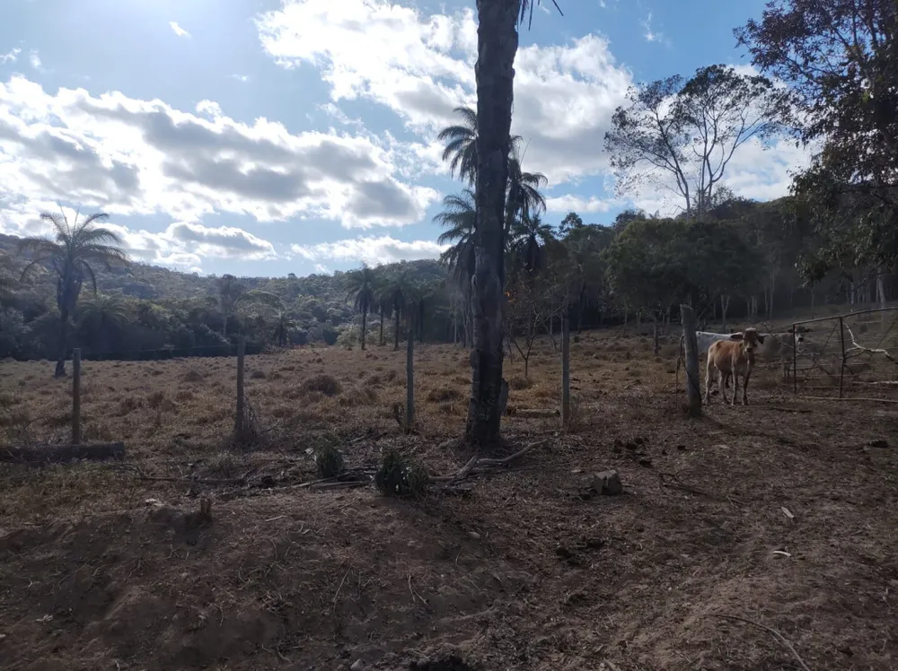 Fazenda, 96 hectares - Foto 2