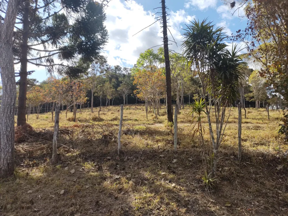 Fazenda, 96 hectares - Foto 9