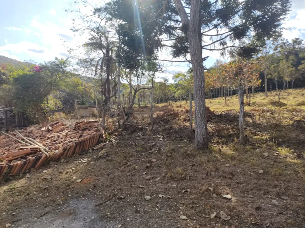 Fazenda, 96 hectares - Foto 12