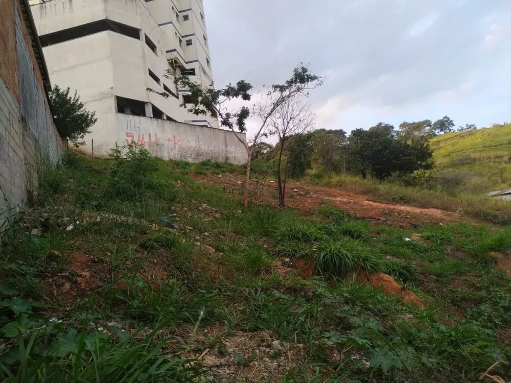 Terreno, 438 m² - Foto 3