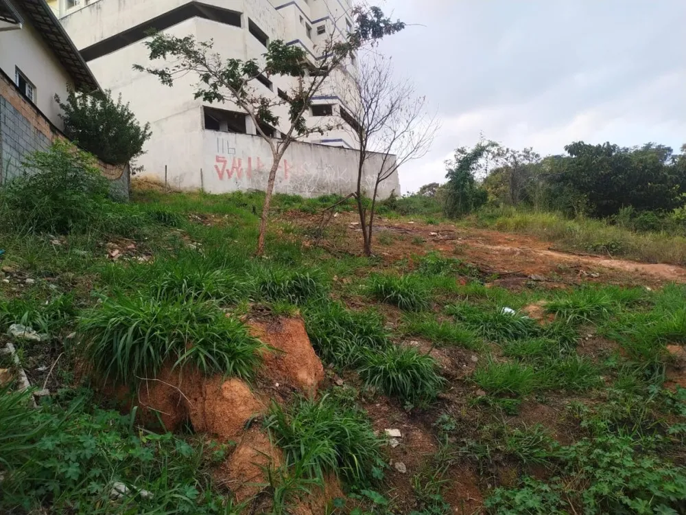 Terreno, 438 m² - Foto 2