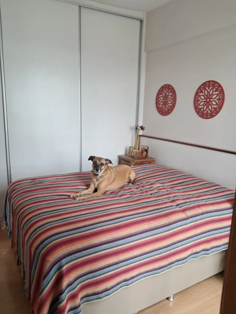 Apartamento, 3 quartos, 89 m² - Foto 8