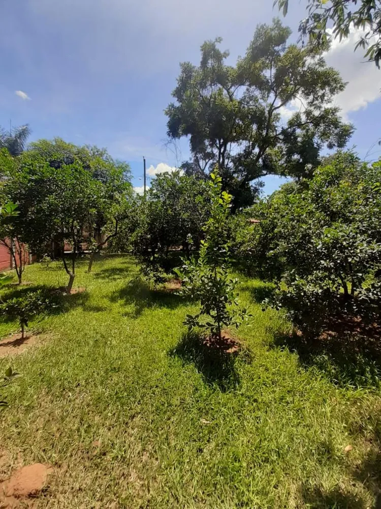 Sítio, 4 quartos, 1800 m² - Foto 23