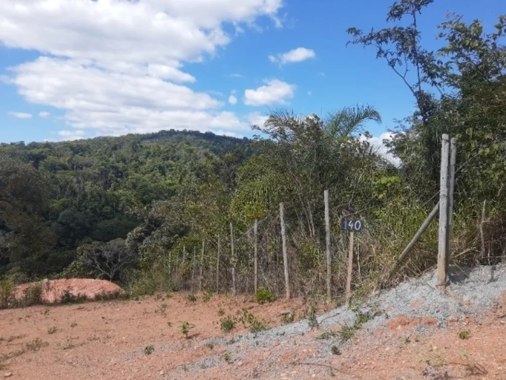 Terreno à venda, 1300m² - Foto 2