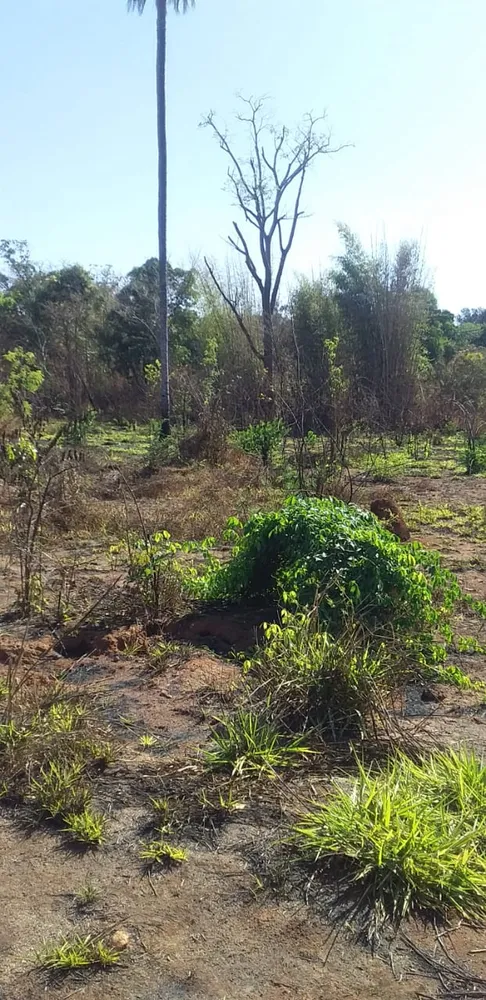 Terreno, 5000 m² - Foto 1