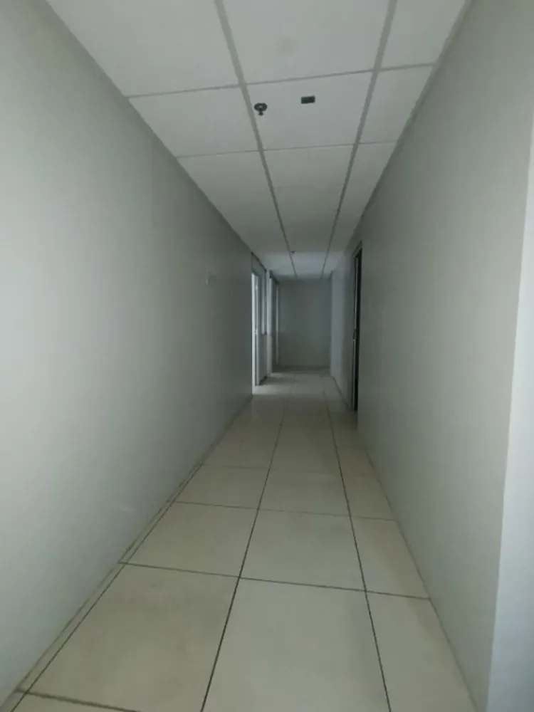 Sala-Conjunto, 257 m² - Foto 12