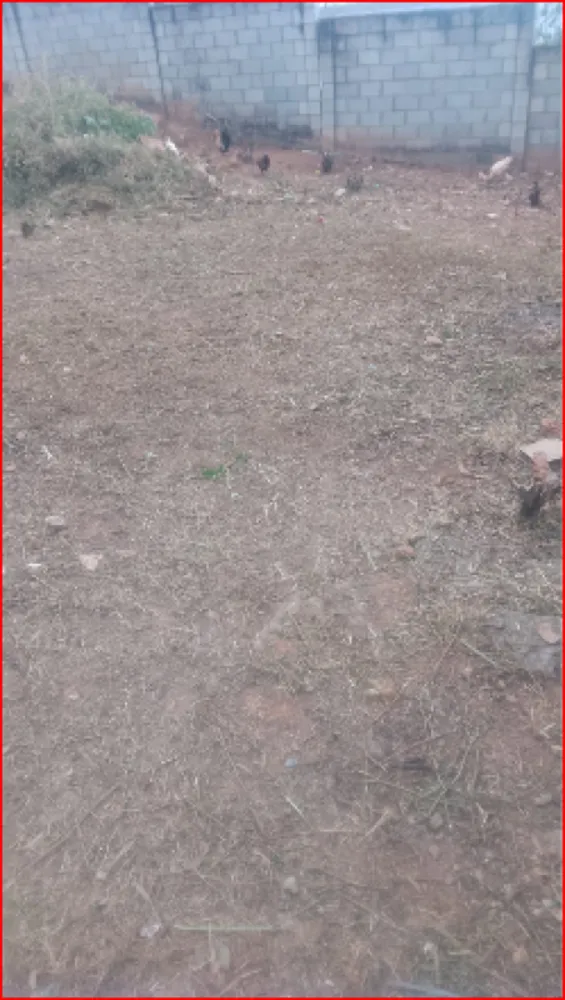 Terreno, 311 m² - Foto 5