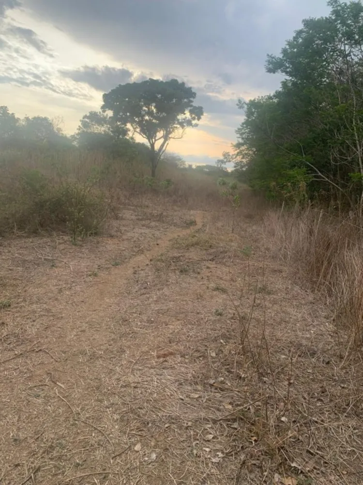 Fazenda, 1 quarto - Foto 1
