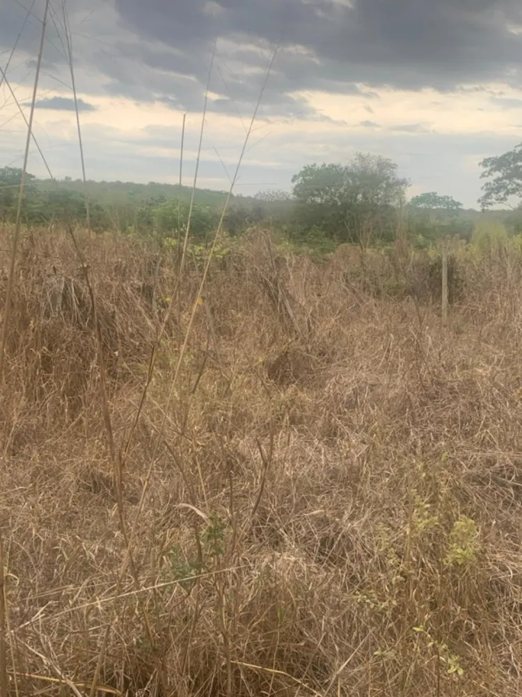 Fazenda, 1 quarto - Foto 21