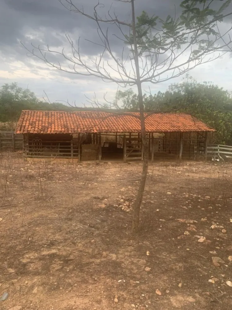 Fazenda, 1 quarto - Foto 7
