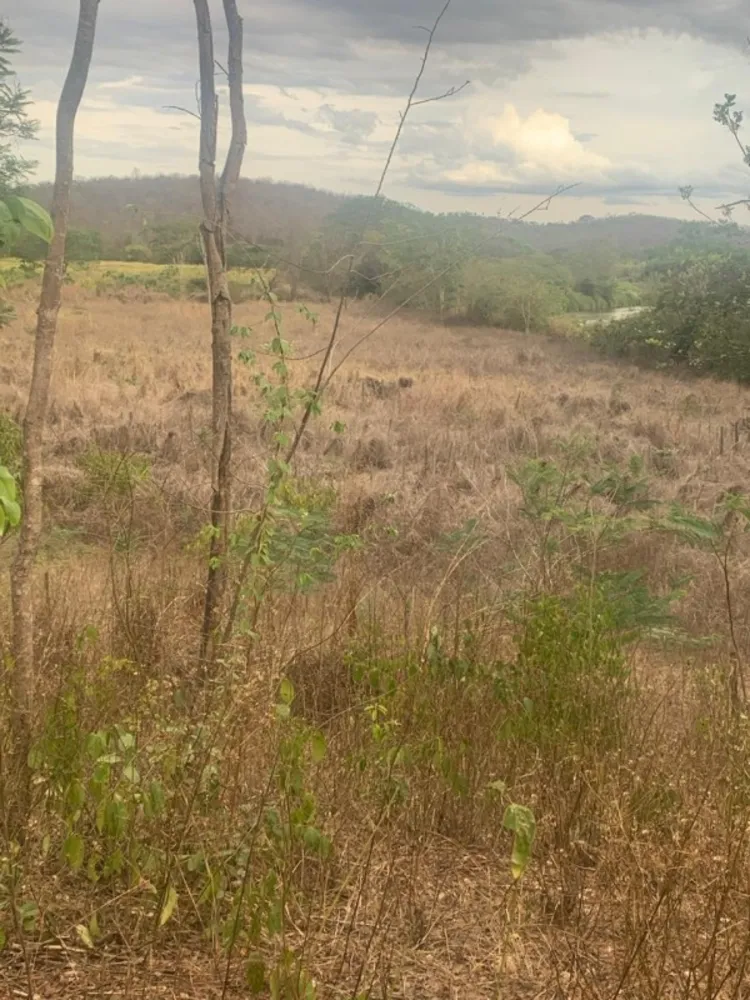 Fazenda, 1 quarto - Foto 16