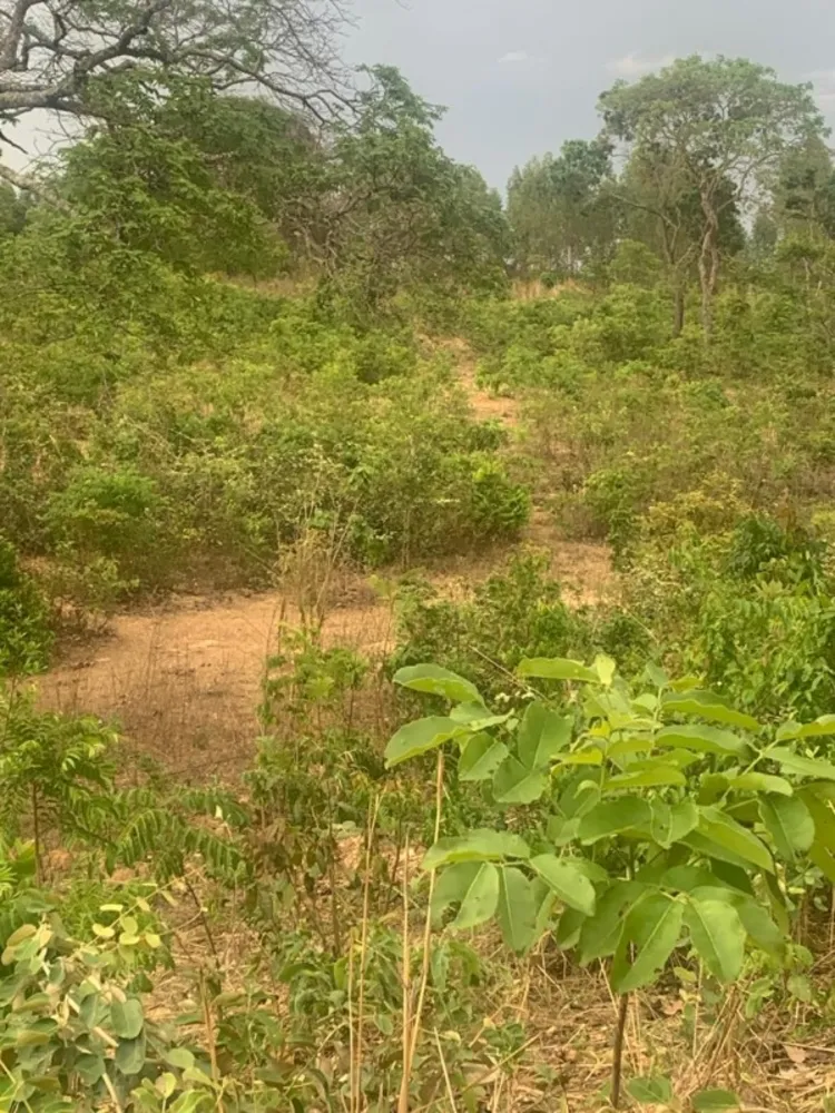 Fazenda, 1 quarto - Foto 4