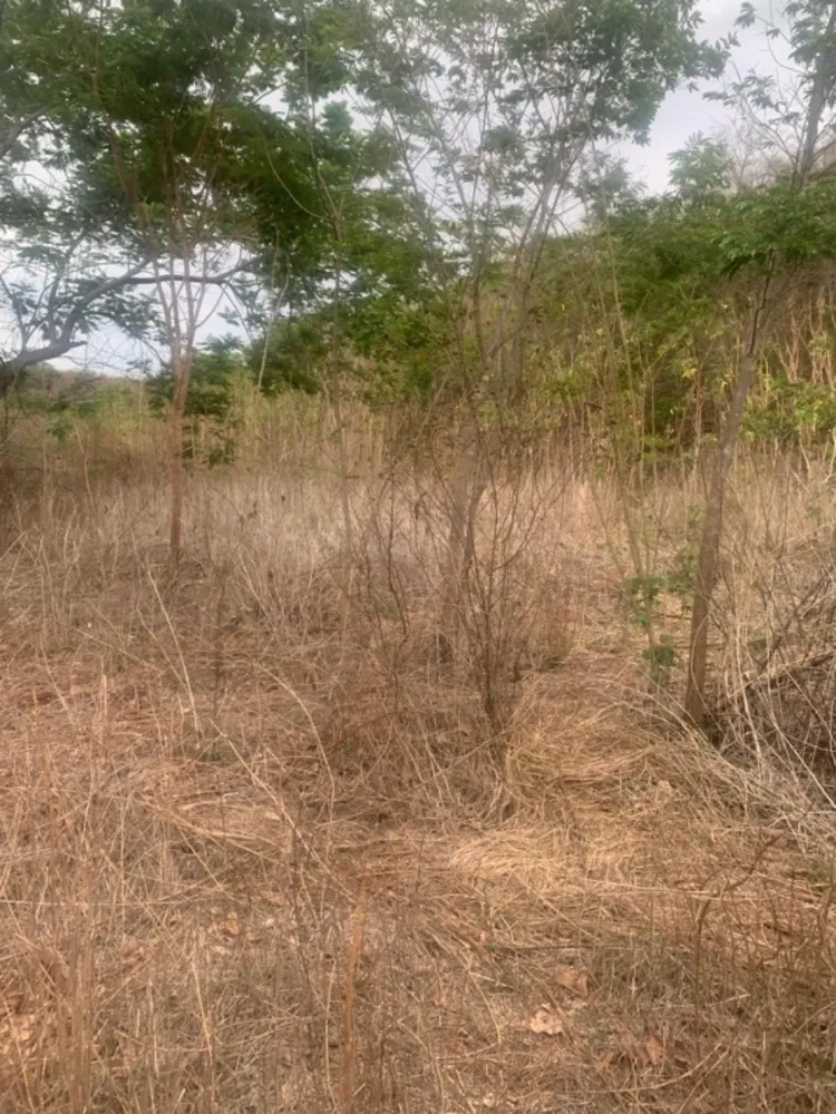 Fazenda, 1 quarto - Foto 8