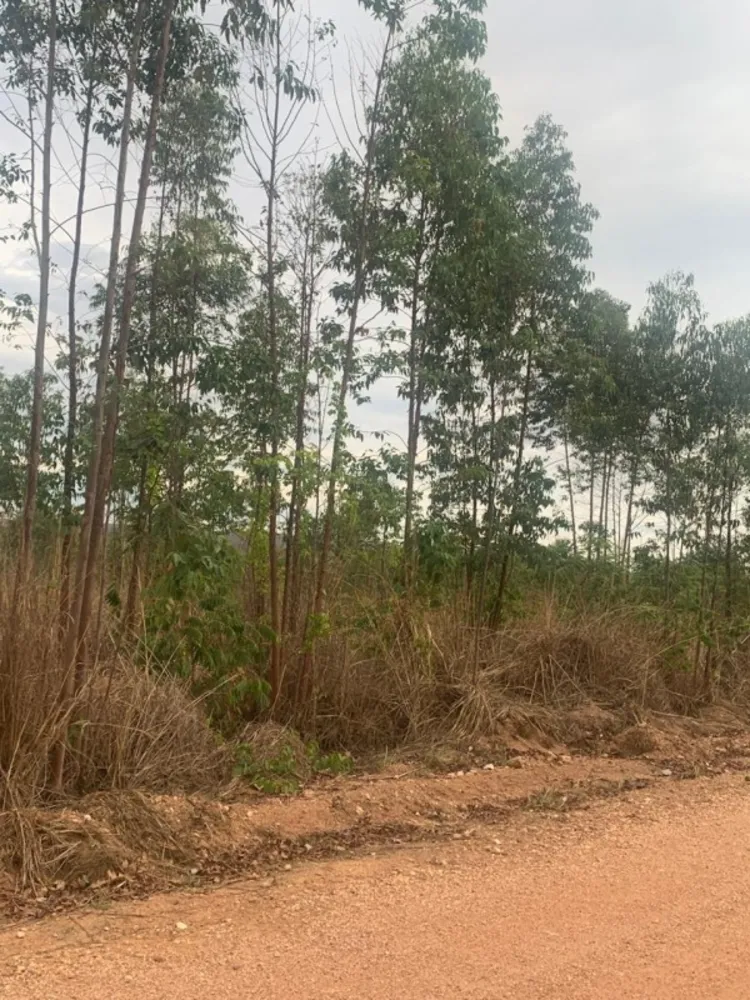 Fazenda, 1 quarto - Foto 11