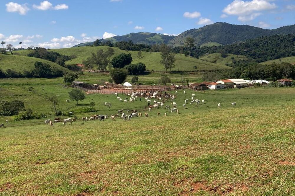 Fazenda à venda com 1 quarto, 1645600m² - Foto 6