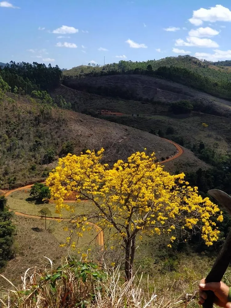 Terreno à venda - Foto 2