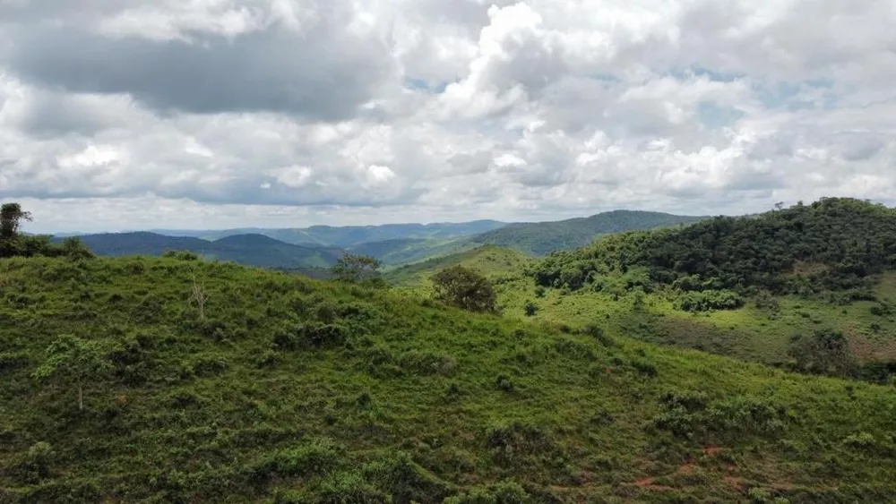 Terreno à venda - Foto 3