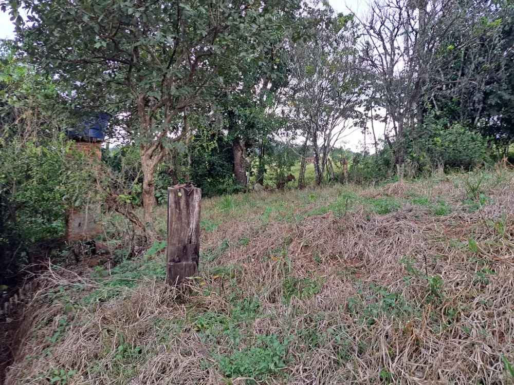 Chácara, 1 quarto - Foto 6