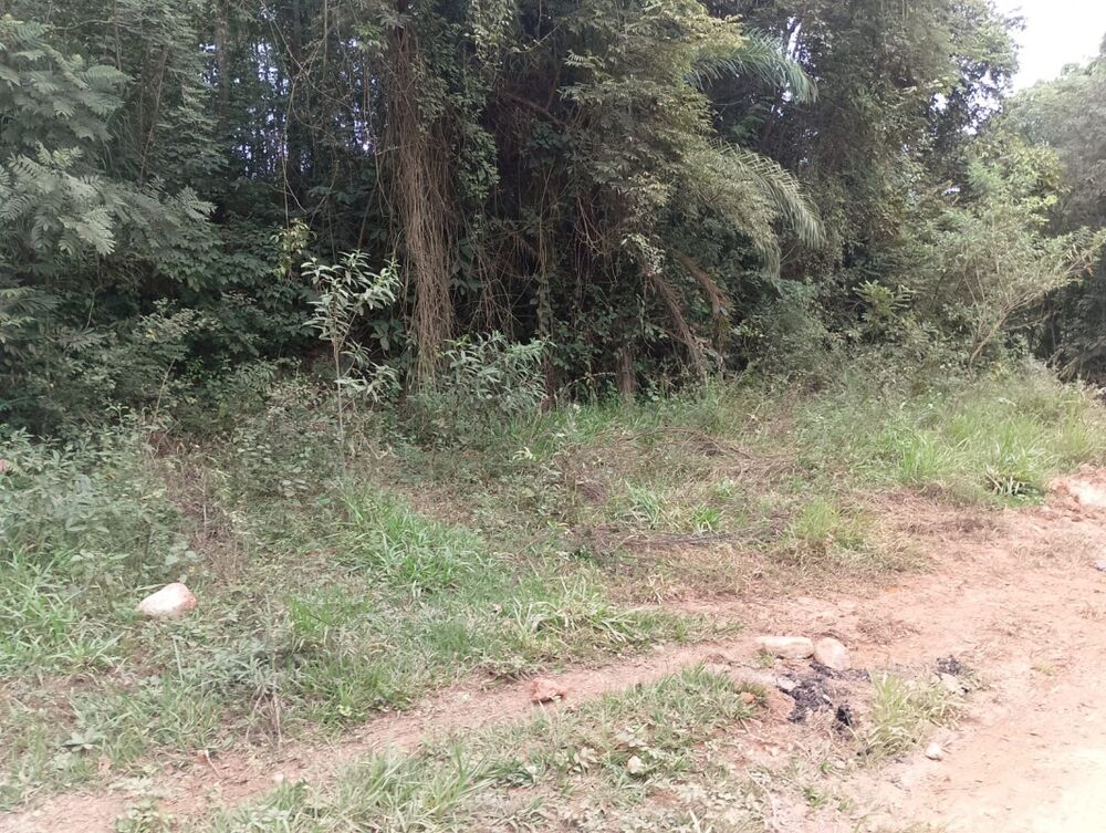 Fazenda à venda com 1 quarto, 244787m² - Foto 1
