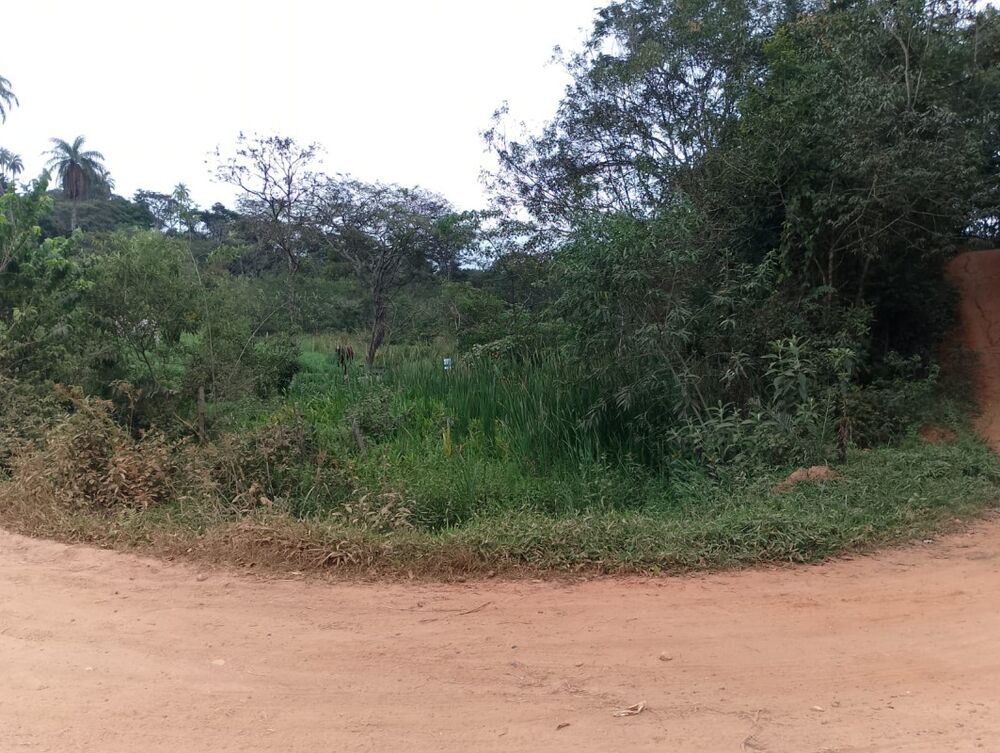 Fazenda à venda com 1 quarto, 244787m² - Foto 2