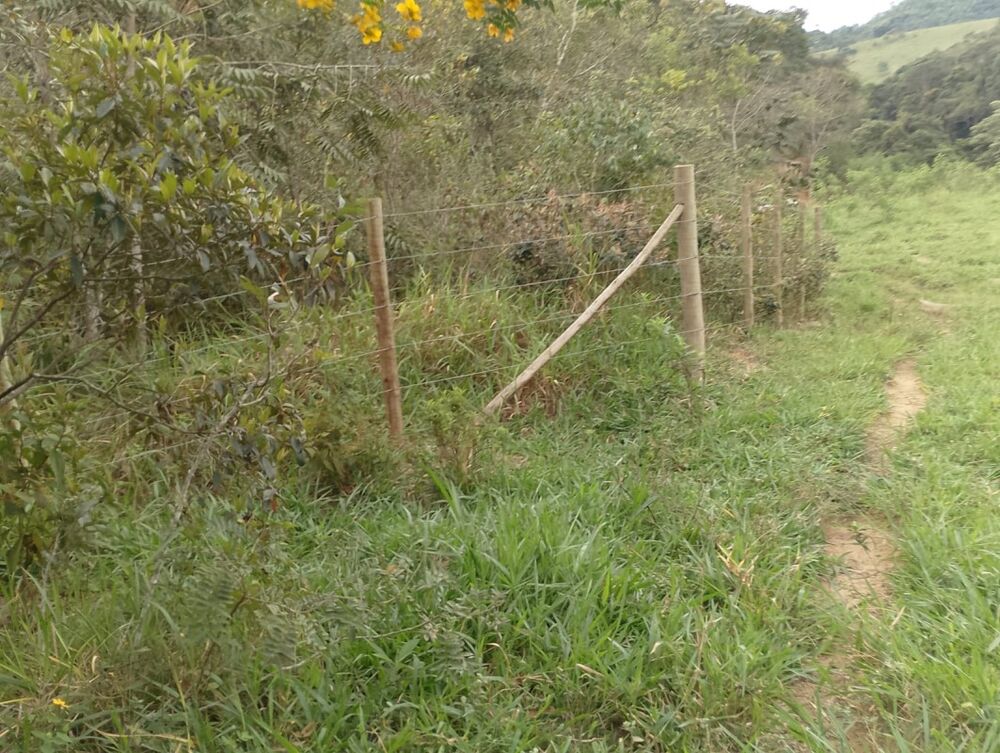 Fazenda à venda com 1 quarto, 244787m² - Foto 8