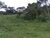 Fazenda, 1 quarto - Foto 6