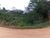 Fazenda, 1 quarto - Foto 2