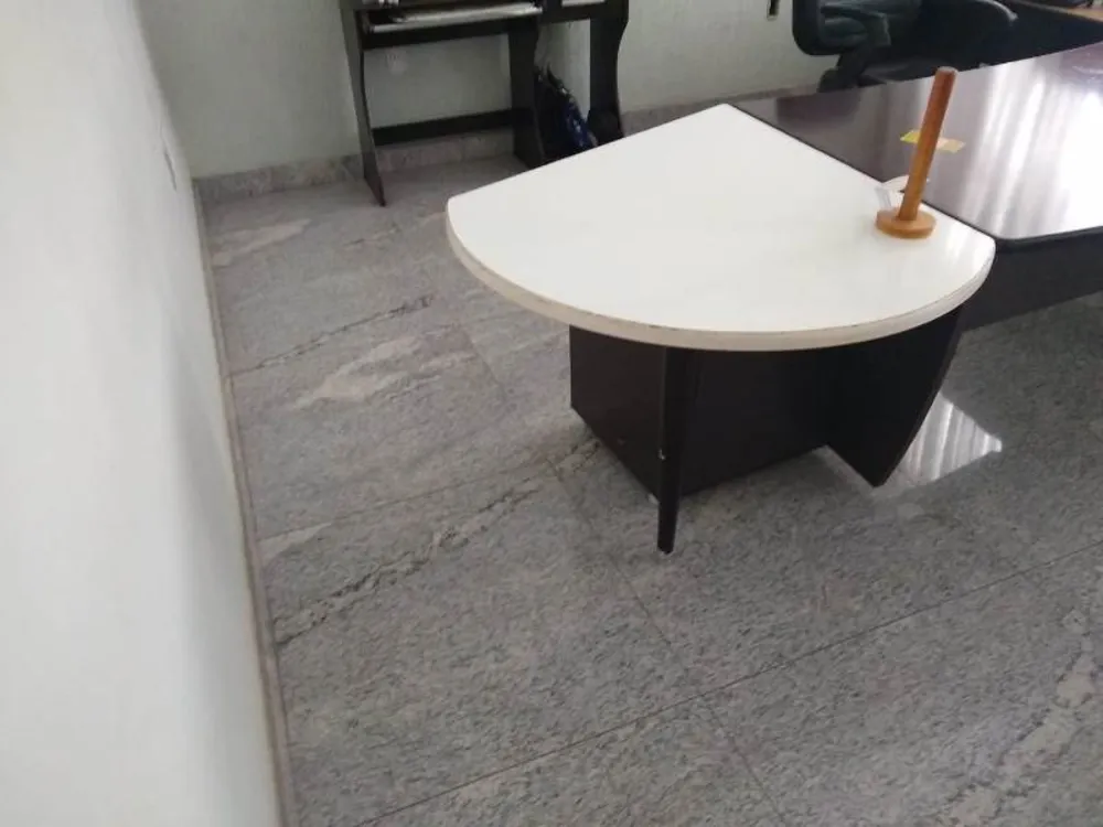 Casa, 6 quartos, 380 m² - Foto 7