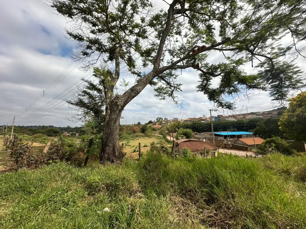 Terreno, 5103 m² - Foto 9