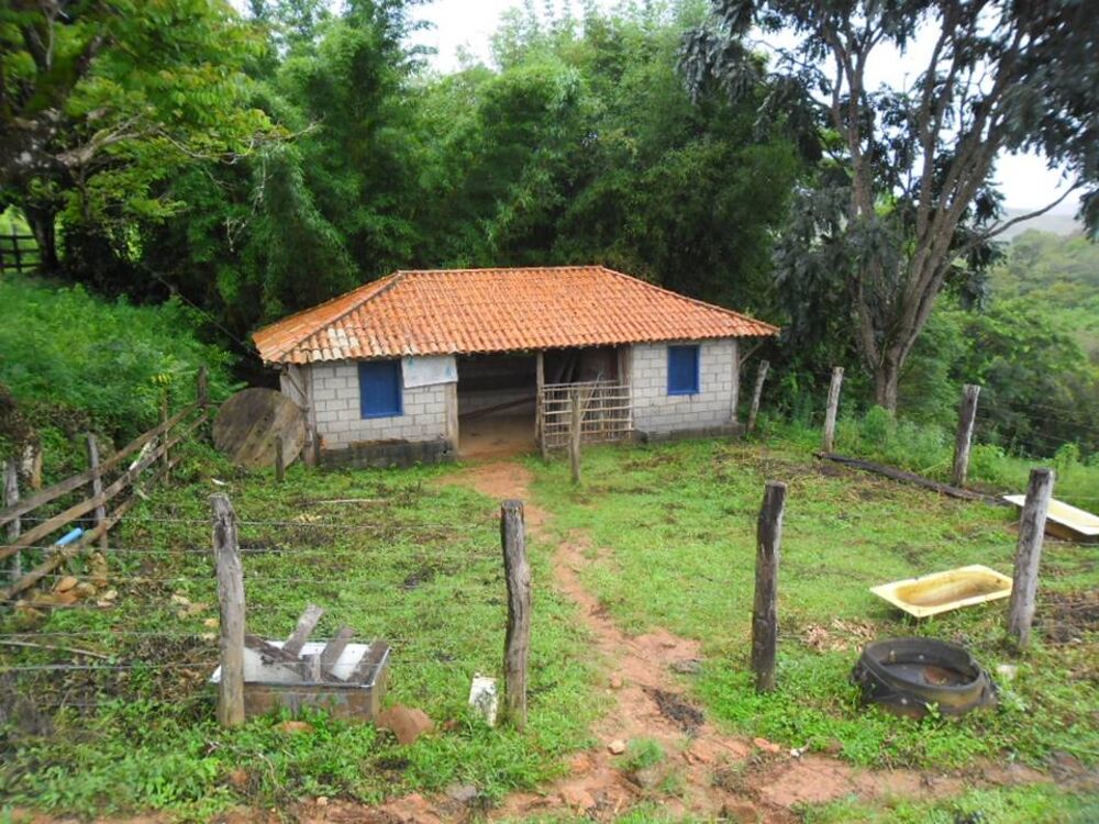 Fazenda à venda com 4 quartos, 90000m² - Foto 1