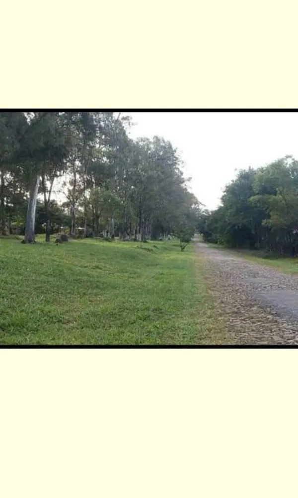 Terreno, 1000 m² - Foto 6