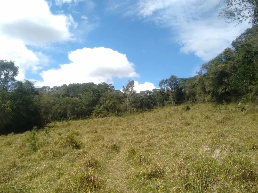 Sítio, 1 quarto, 162300 m² - Foto 6