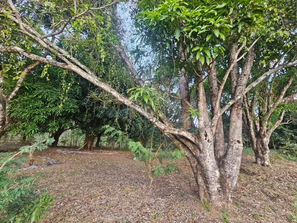 Chácara, 1 quarto - Foto 7