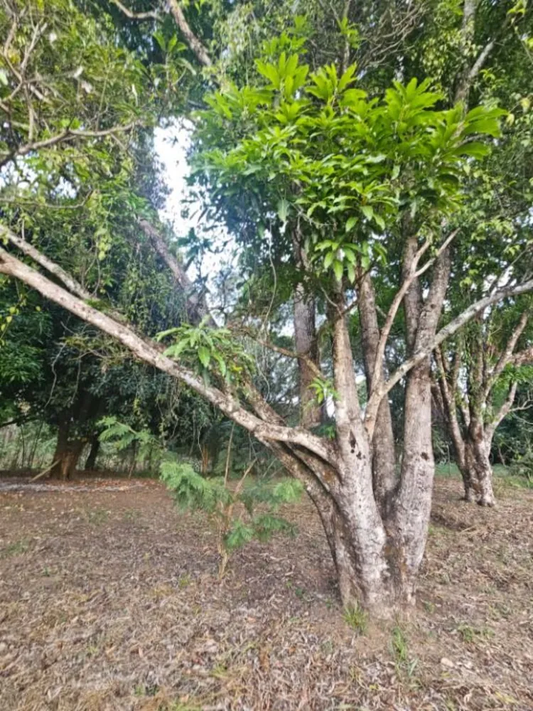 Chácara, 1 quarto - Foto 8