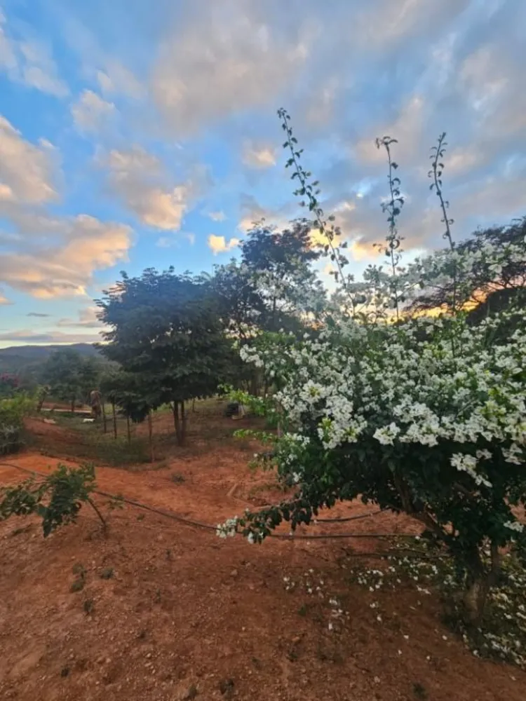 Chácara, 1 quarto - Foto 5