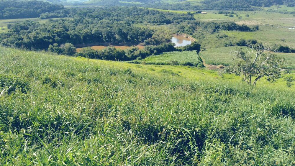 Sítio à venda com 1 quarto, 290000m² - Foto 1