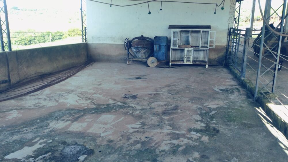 Sítio à venda com 1 quarto, 290000m² - Foto 4