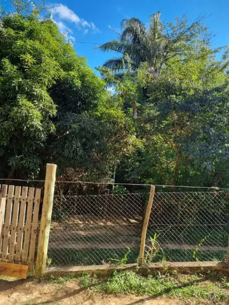 Casa, 4 quartos, 828 m² - Foto 5