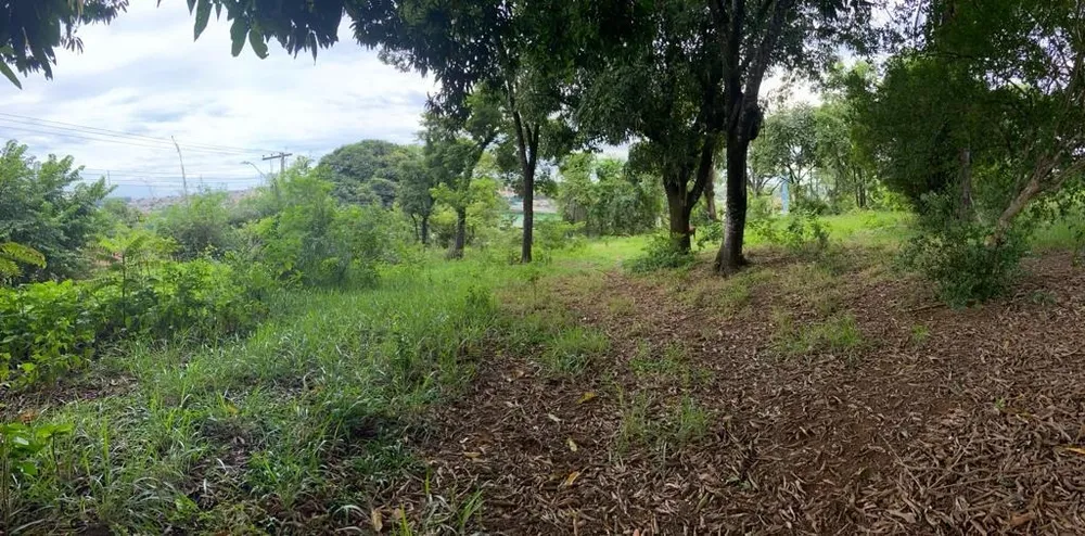 Terreno - Foto 4