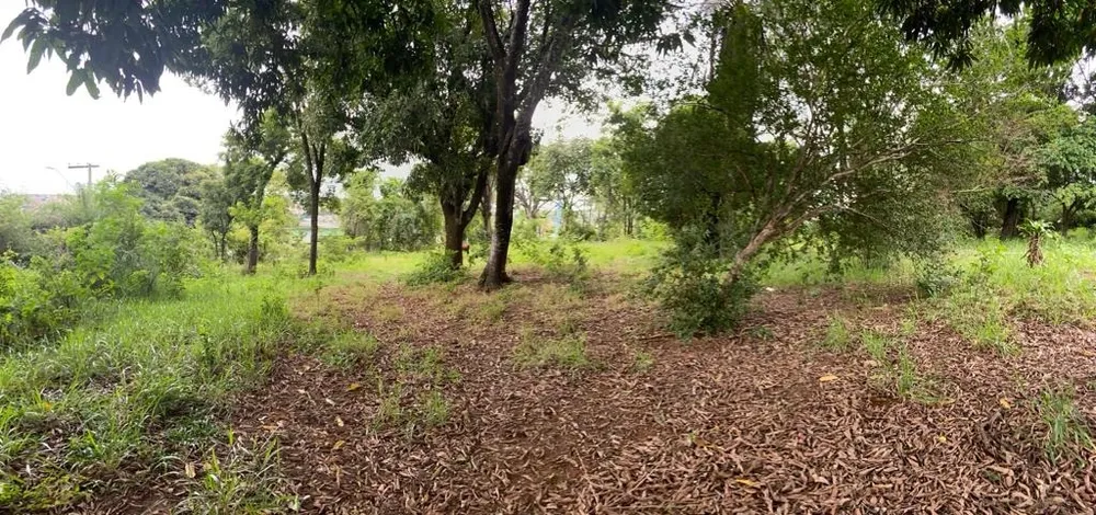 Terreno - Foto 3