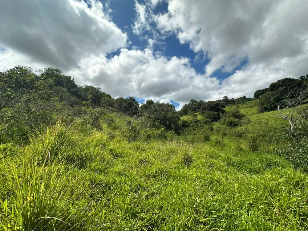 Sítio, 1 quarto, 60000 m² - Foto 8