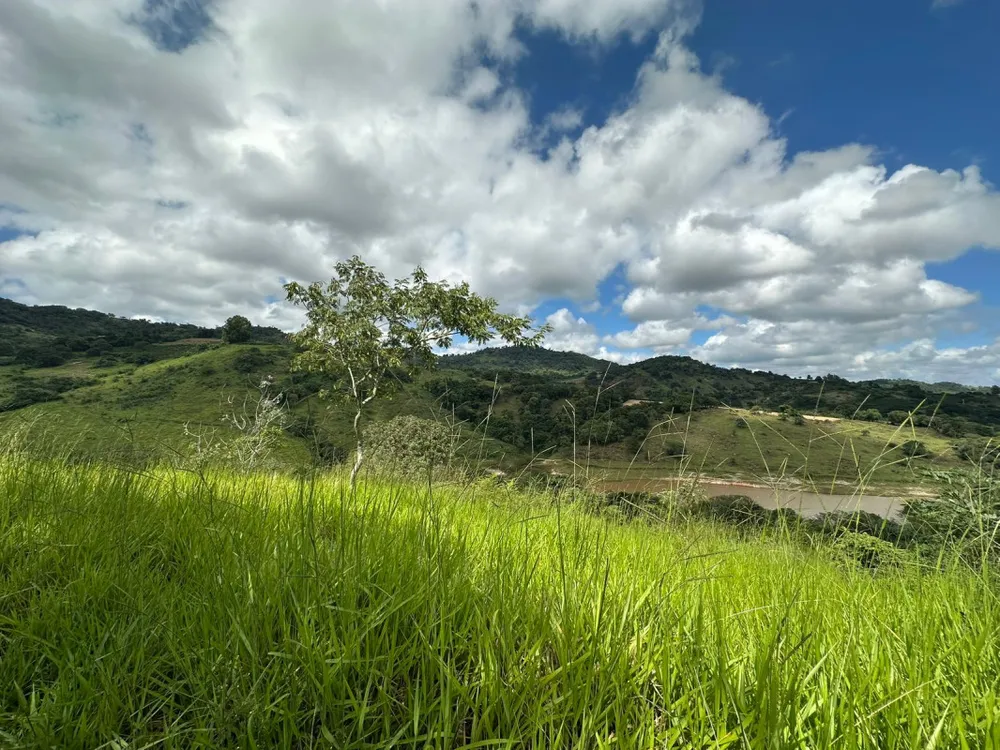 Sítio, 1 quarto, 60000 m² - Foto 3