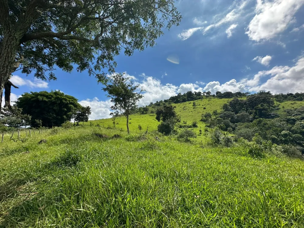 Sítio, 1 quarto, 60000 m² - Foto 7