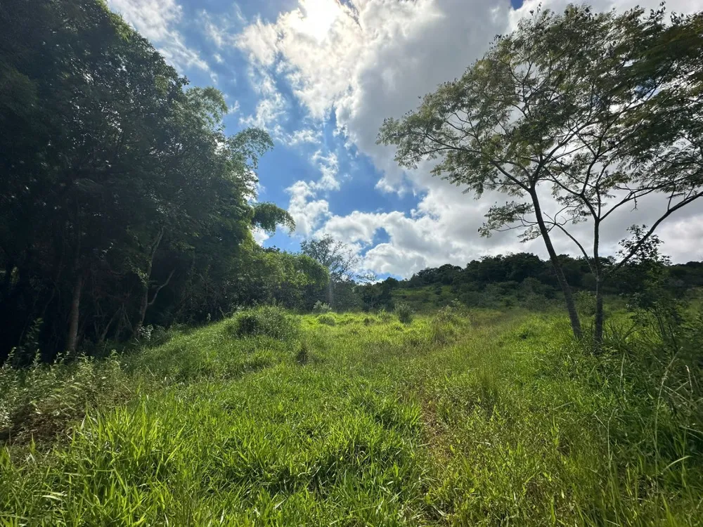 Sítio, 1 quarto, 60000 m² - Foto 6