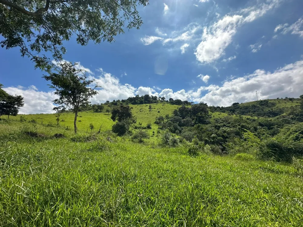 Sítio, 1 quarto, 60000 m² - Foto 7