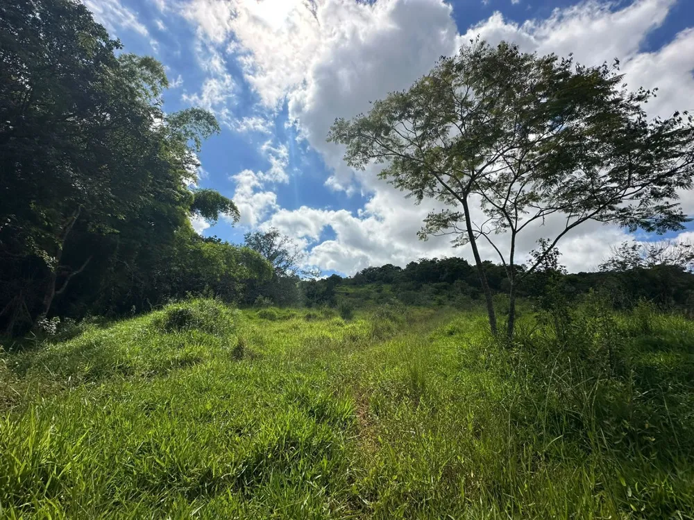 Sítio, 1 quarto, 60000 m² - Foto 1